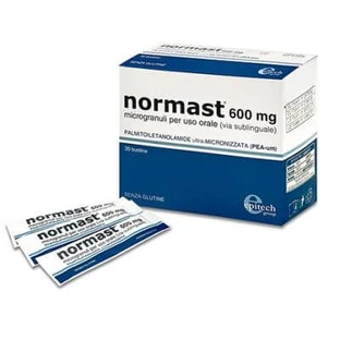 Normast 600 mg microgránulos 30 sobres