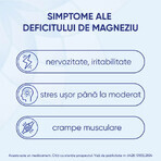 Magne B6 Premium, 100 mg/10 mg, 40 filmomhulde tabletten, Sanofi