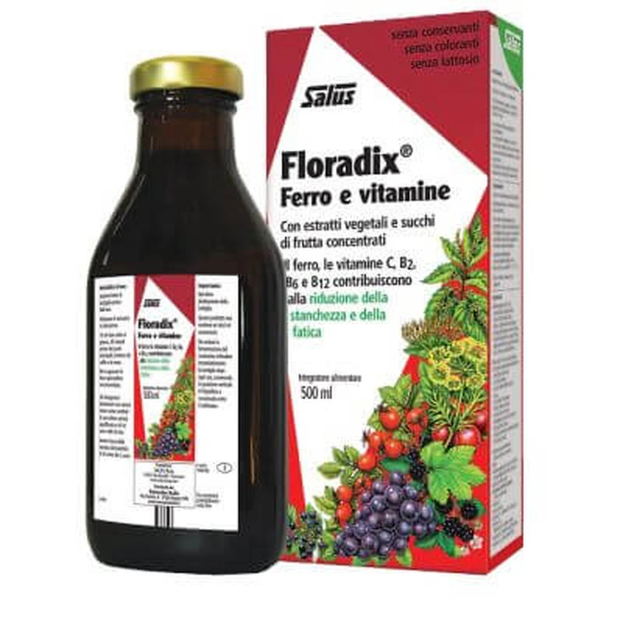 Floradix ijzer en vitaminen 500 ml