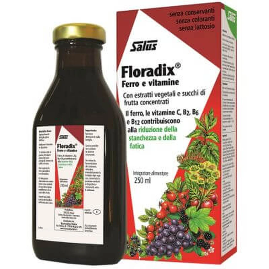 Floradix iron and vitamins 250 ml
