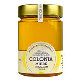 Keulen rauwe salcam honing, 420 g, Evicom Honing