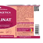 Insulinat x 60 Kapseln, Herbagetica