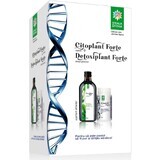 Cytoplant Forte, 270 capsules + Detoxifier Forte, 500 ml, Divine Star