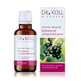 Gemmo maceraat zwarte bes Dr.Koll Ribes 50 ml
