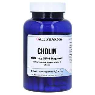 Colina 100 mg GPH Cápsulas 120 Cápsulas