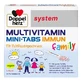 Système Doppelherz Multivitamine Mini-Tabs famille 20 St