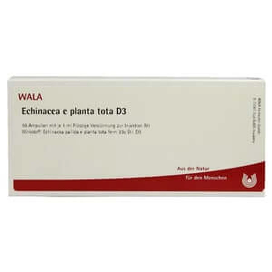 Echinacea E Planta tota D 3 Ampullen 10X1 ml