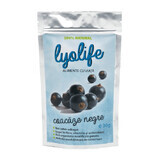 Ribes nero liofilizzato Lyolife, 30 g, Lifesense