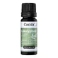 Olio di eucalipto Casida naturale 10 ml