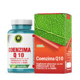 Coenzyme Q10, 60 gélules, Hypericum