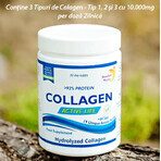 Collagene idrolizzato in polvere Active Life di Tipo 1, 2 e 3 con 10.000 mg, 300 g, Swedish Nutra