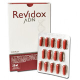 Revidox DNA, 28 Kapseln, Actafarma