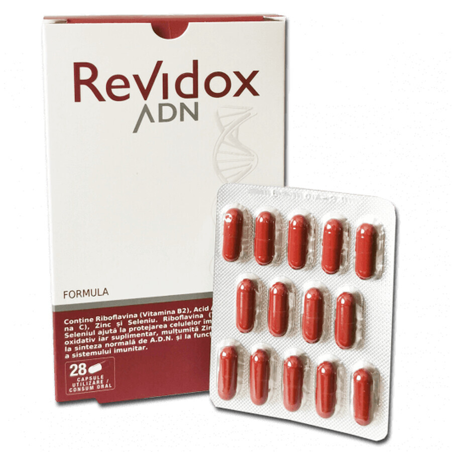 Revidox DNA, 28 capsules, Actafarma
