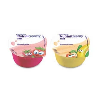 Nutrini Creamy Fruit Mischkarton 32X100 g
