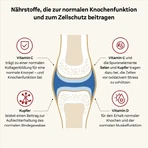 Doppelherz System Collageen 11.000 Plus Gezondheid & Mobiliteit, 30 × 25 ml