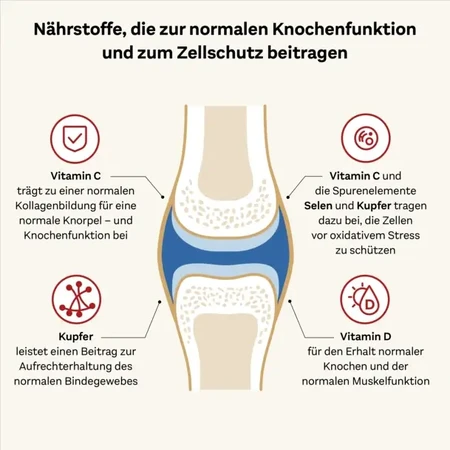 Doppelherz System Collageen 11.000 Plus Gezondheid & Mobiliteit, 30 × 25 ml