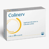 Colinerv, 30 capsules, Sifi