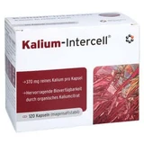 Kalium intercell maagsapresistente harde capsules 120 Capsules