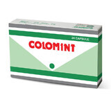 Colomint, 24 gélules, Pharco