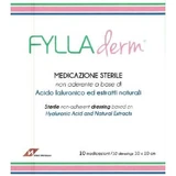 Hyaluronic acid-based fylladerm nonadherent dressing 10 x 10 cm 10 pouches