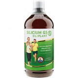 Silicium bio G5 kiezelplant, 1000 ml, Pronat