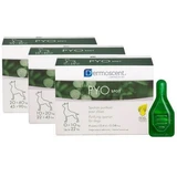 Pyo spot Hund 0-10kg
