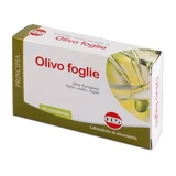 Extracto seco de hojas de olivo 60 comprimidos