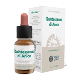 Ecosol kwintessens van anijs druppels 10 ml