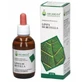 Bio-Birkensaft gemmoderivativ 100 ml
