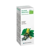 Ginseng 49 50 ml mother tincture