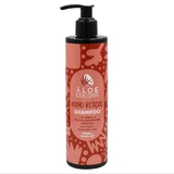 Aloe+ Kleuren Bond Rescue Shampoo 300ml