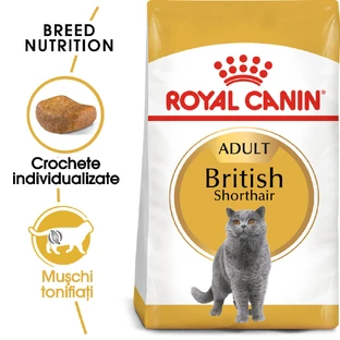 ROYAL CANIN British Shorthair Adult, croquettes pour chat, 2kg