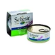 Schesir