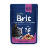BRIT Premium, Salmon and Trout, sachet wet cat food, (in sauce), 100g