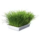 Trixie, plastic bakje met graszaad, 100g