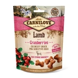 CARNILOVE Crunchy Snack, Miel con Arándanos, golosinas funcionales sin cereales para perros, inmunidad, 200g