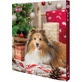 TRIXIE Kerst Adventskalender, XS-XL, hondenbeloningsdoos, 390g