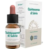 Forza Vitale Quinta Essenz Salvia (Salbei) 10Ml