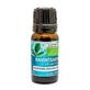 Natura Premium Etherische Olie Ravintsara Bio , 10 ml