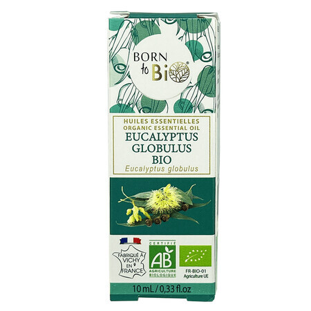 Huile essentielle d'eucalyptus biologique Globus, 10 ml, Born to Bio