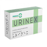 Urinex, 24 gélules, Pharco