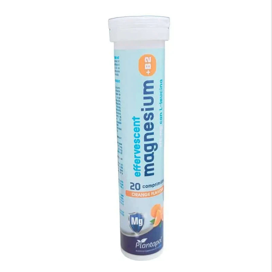 Plantapol Magnésium+B2 Avec Leucine S/Orange 20Caps Sphères