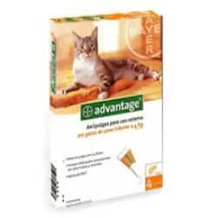 Advantage Kat 40 mg 0-4kg 4Pip