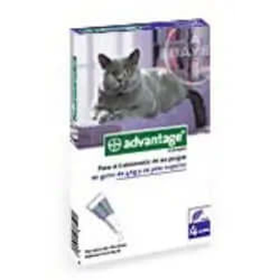 Advantage Kat 80 mg Kat +4Kg 4Pip