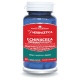 Echinacea Indiana, 60 gélules, Herbagetica