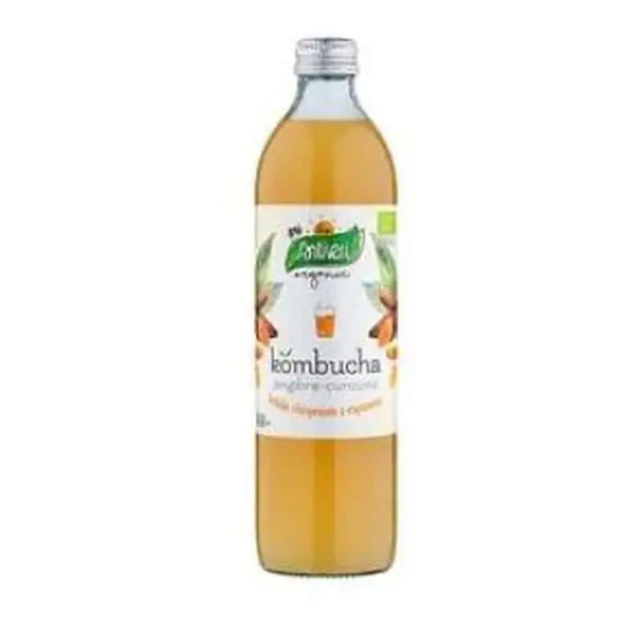 Santiveri Kombucha Kurkuma + Gember 500ml
