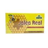Sotya Jalea Real Infantil, 10 Ampollas