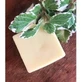 Nitx Fijn Haar Vaste Conditioner 55Gr
