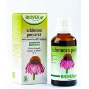 Biover Echinacea Purpurea Echinacea Auszug 50Ml