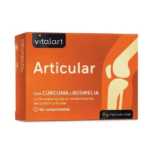Vitalart Pack Vitalart Articular, 60 tablete